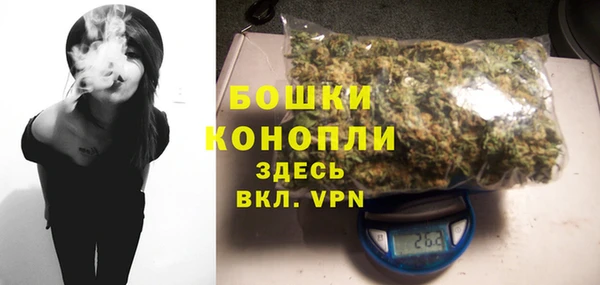 сатива Верея