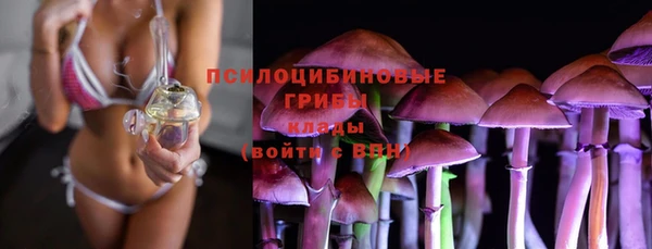 a pvp Володарск