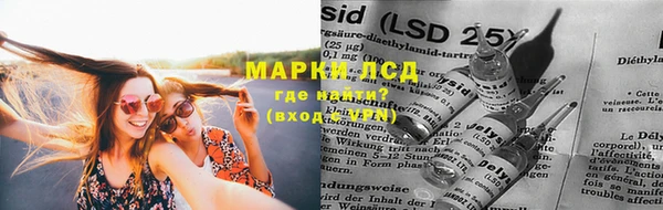 прущие крисы Верхний Тагил
