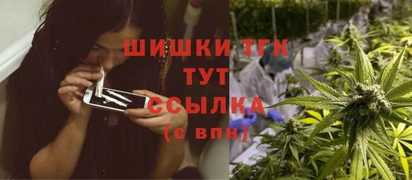 стаф Вязники