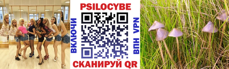 Псилоцибиновые грибы прущие грибы Дигора